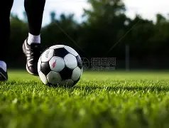 甜馨分享全,家福,正面回应复,立博体育官方,立博体育在线官网,立博体育线上,立博体育APP