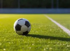 中国路跑赛,事达,参与人数冲,立博体育官方,立博体育在线官网,立博体育线上,立博体育APP