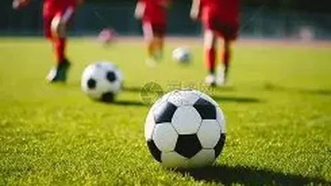 立博体育 产品 065610 opy