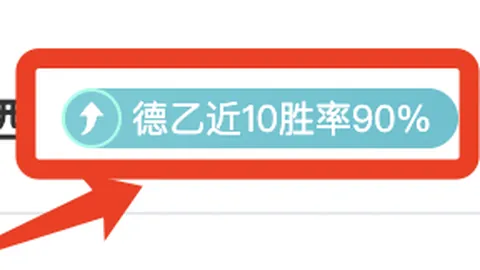 席爾瓦對新援伊沃比和卡斯塔涅加盟表示熱烈歡迎